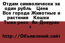 Отдам символически за один рубль › Цена ­ 1 - Все города Животные и растения » Кошки   . Тыва респ.,Ак-Довурак г.